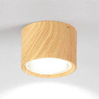 Ceiling Spotlight Adjustable LED Matte Metal