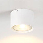 Ceiling Spotlight Adjustable LED Matte Metal