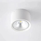 Ceiling Spotlight Adjustable LED Matte Metal