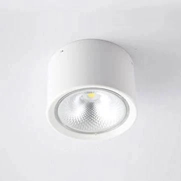 Ceiling Spotlight Adjustable LED Matte Metal