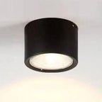 Ceiling Spotlight Adjustable LED Matte Metal