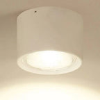 Ceiling Spotlight Adjustable LED Matte Metal