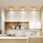 Ceiling Spotlight Adjustable LED Matte Metal
