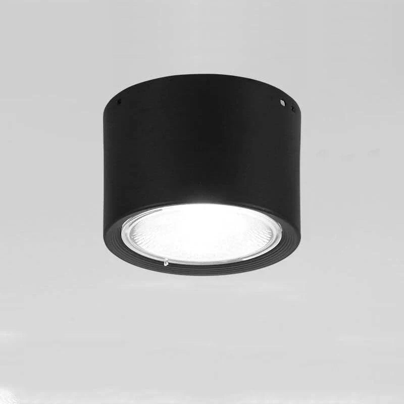 Ceiling Spotlight Adjustable LED Matte Metal