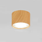 Ceiling Spotlight Adjustable LED Matte Metal