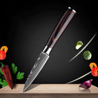 Chef Knife Set Damascus Steel & Wood Handles