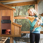 Chicken Coop Door Automatic Light Sensor & Timer