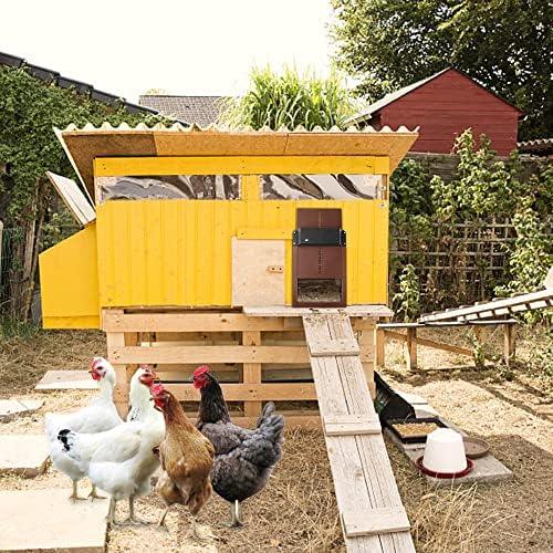 Chicken Coop Door Automatic Light Sensor & Timer