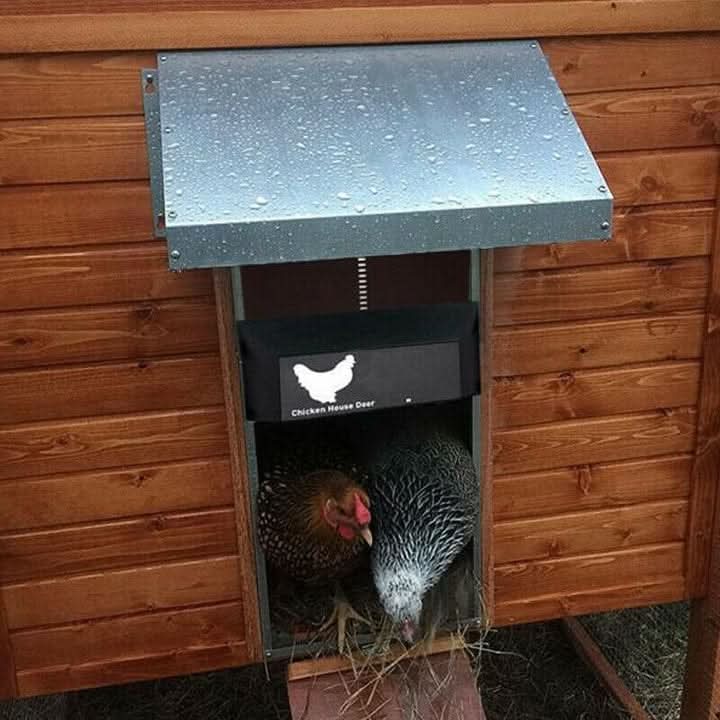 Chicken Coop Door Automatic Light Sensor Weatherproof Easy Install