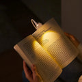 Clip-On Reading Lamp Flexible Neck USB Rechargeable