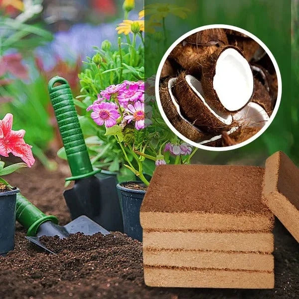 Coconut Coir Block Expands With Water For Seed Starting