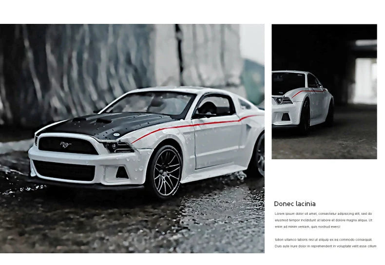 Collectible Car Model 1:24 Scale Alloy Replica