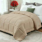 Comforter All-Season Ultra-Soft Down-Alternative