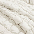 Comforter Set Plush Microfiber All-Season Three-Piece