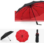 Compact Travel Umbrella Automatic Open & Close Windproof Ribs