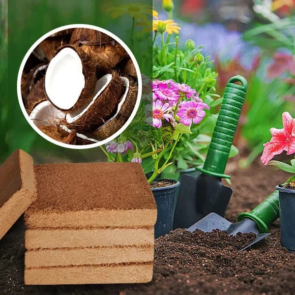 Compressed Coco Coir Block Water Expandable 100% Coconut Coir
