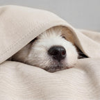 Cooling Blanket Reversible Arc-Chill Fabric