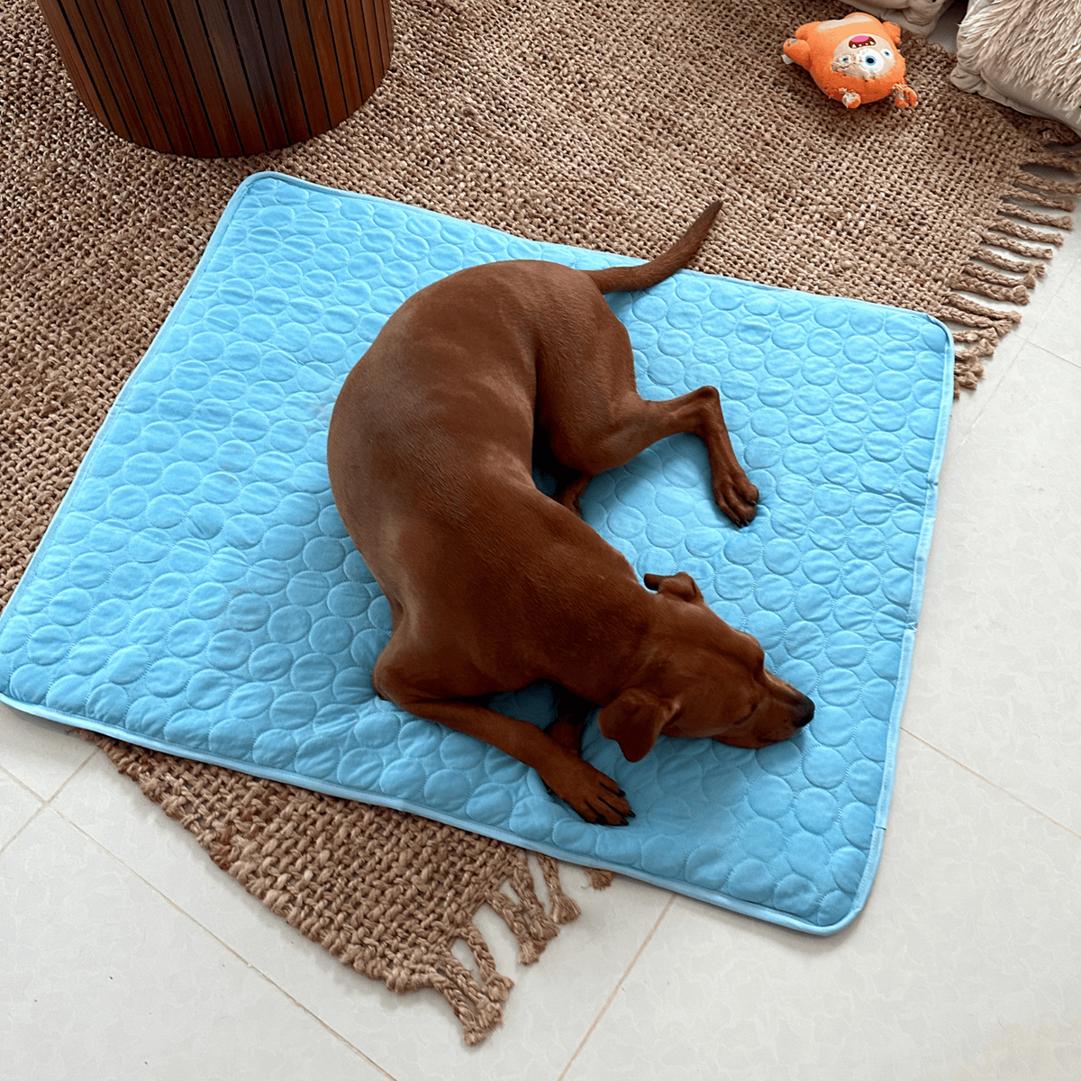 Cooling Dog Mat Four Times Cooling Power Easy-Clean