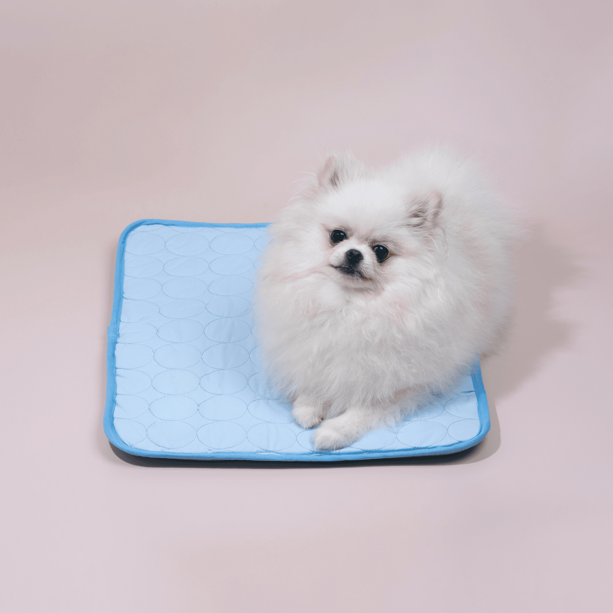 Cooling Dog Mat Four Times Cooling Power Easy-Clean