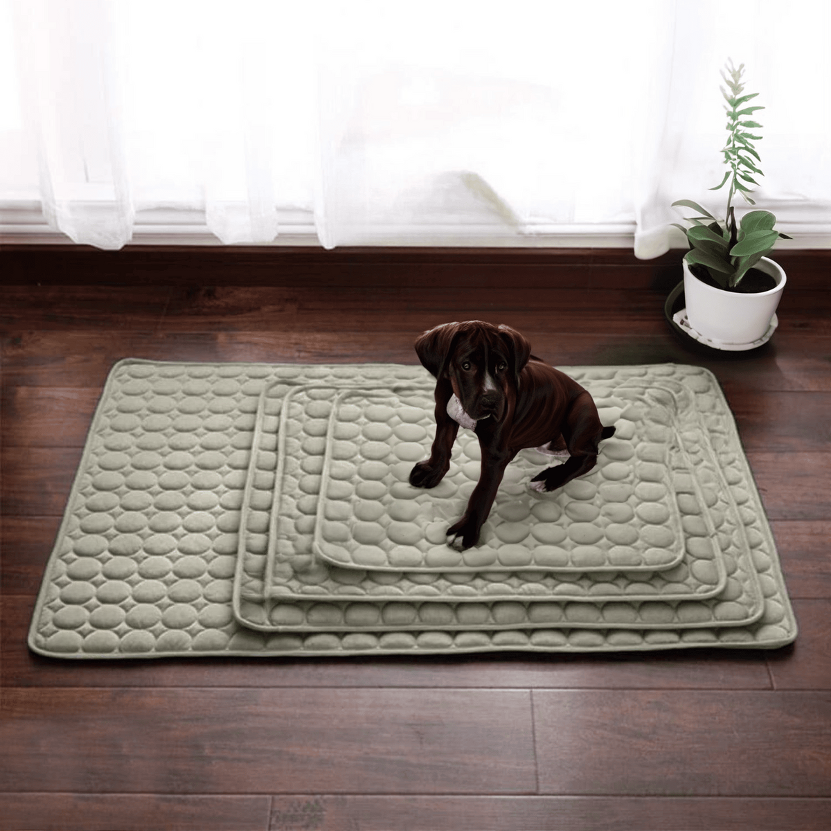 Cooling Dog Mat Four Times Cooling Power Easy-Clean