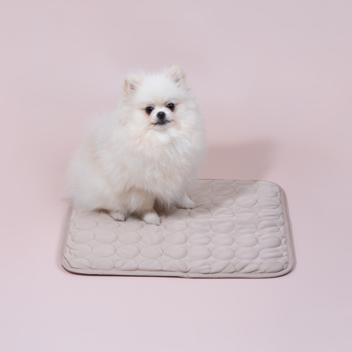 Cooling Dog Mat Four Times Cooling Power Easy-Clean