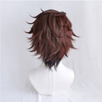Cosplay Wig Long Wavy Matte Synthetic Wig Cap Included