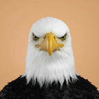 Costume Mask Realistic Bald Eagle Full Head Coverage