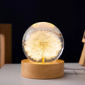 Crystal Ball Night Light 3D Dandelion USB Powered