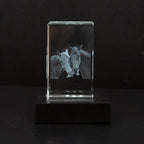 Crystal Photo Block Laser Engraved 2D 3D Illuminated Base
