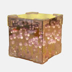 Customizable Battery-Powered Botanical Mood Lamp Kit