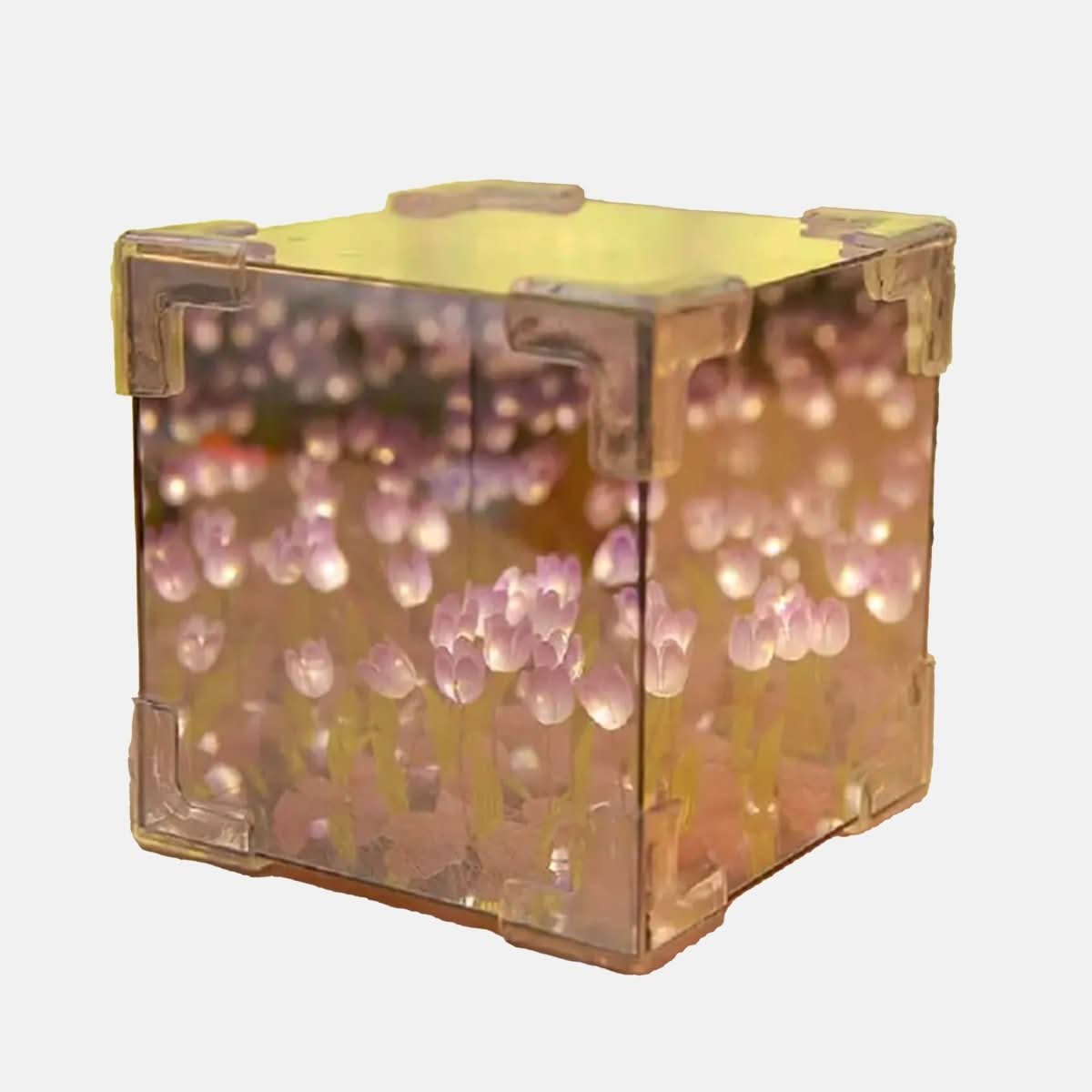 Customizable Battery-Powered Botanical Mood Lamp Kit