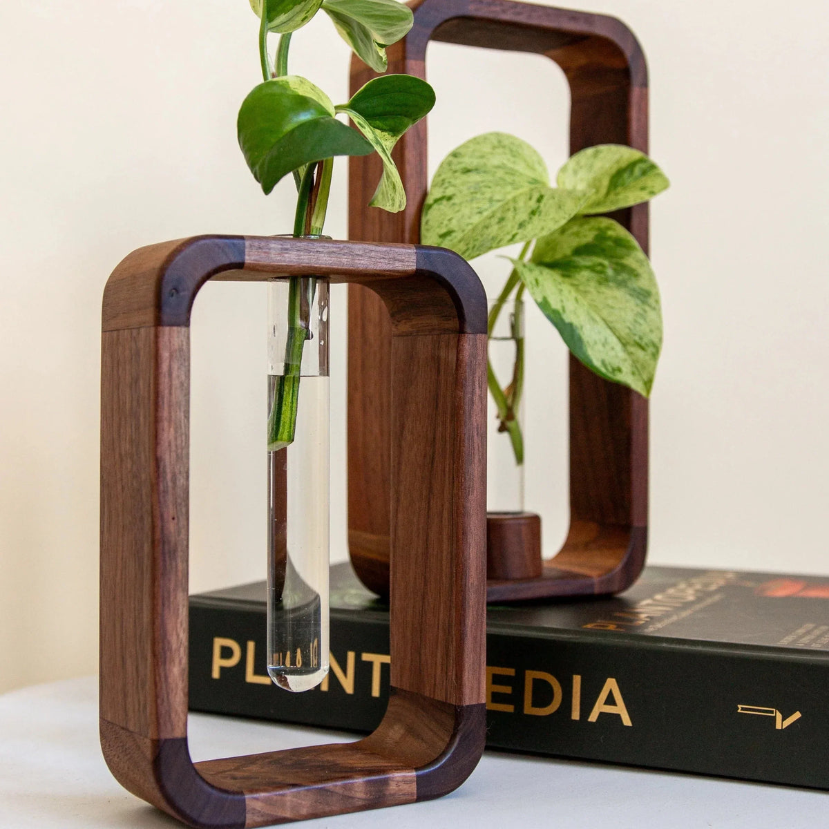 Cuttings Vase Clear Glass & Wooden Stand