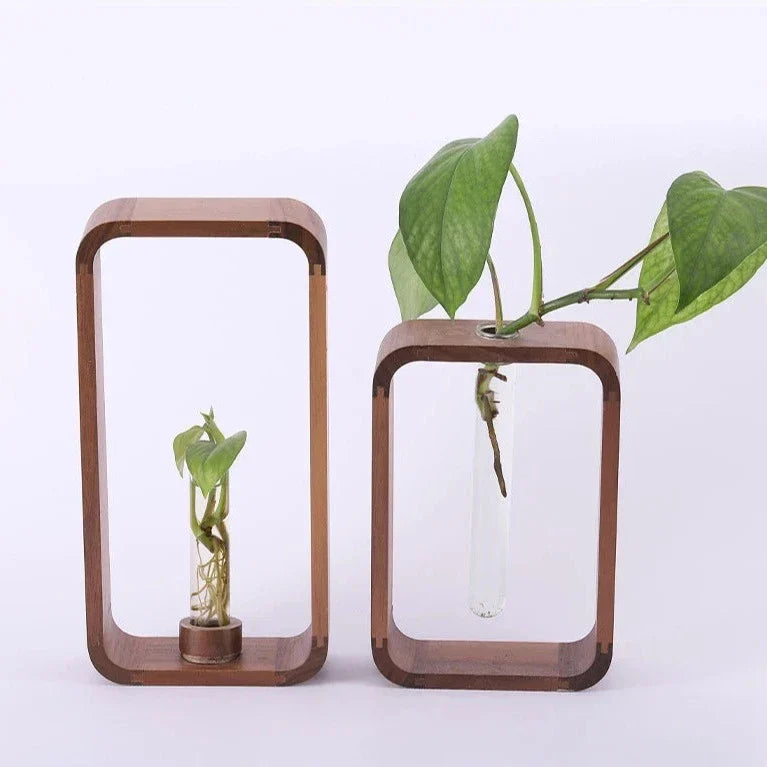 Cuttings Vase Clear Glass & Wooden Stand
