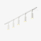 Cylinder Track Light 30° Focused Beam Integrated LED