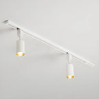 Cylinder Track Light 30° Focused Beam Integrated LED