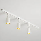 Cylinder Track Light 30° Focused Beam Integrated LED