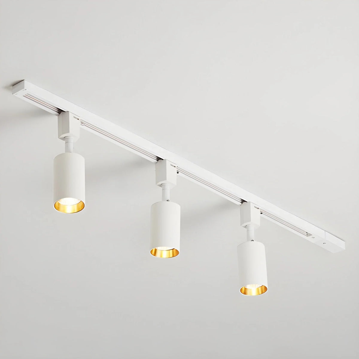Cylinder Track Light 30° Focused Beam Integrated LED
