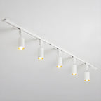 Cylinder Track Light 30° Focused Beam Integrated LED