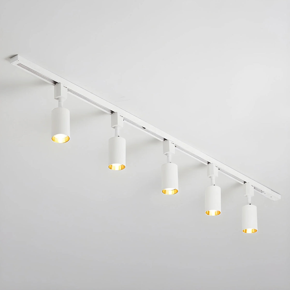 Cylinder Track Light 30° Focused Beam Integrated LED