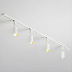 Cylinder Track Light 30° Focused Beam Integrated LED
