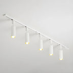 Cylinder Track Light 30° Focused Beam Integrated LED