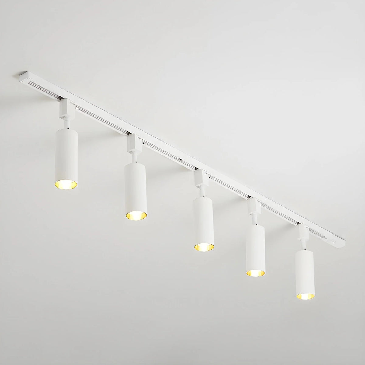 Cylinder Track Light 30° Focused Beam Integrated LED