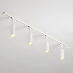 Cylinder Track Light 30° Focused Beam Integrated LED