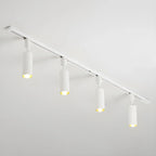 Cylinder Track Light 30° Focused Beam Integrated LED