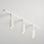 Cylinder Track Light 30° Focused Beam Integrated LED