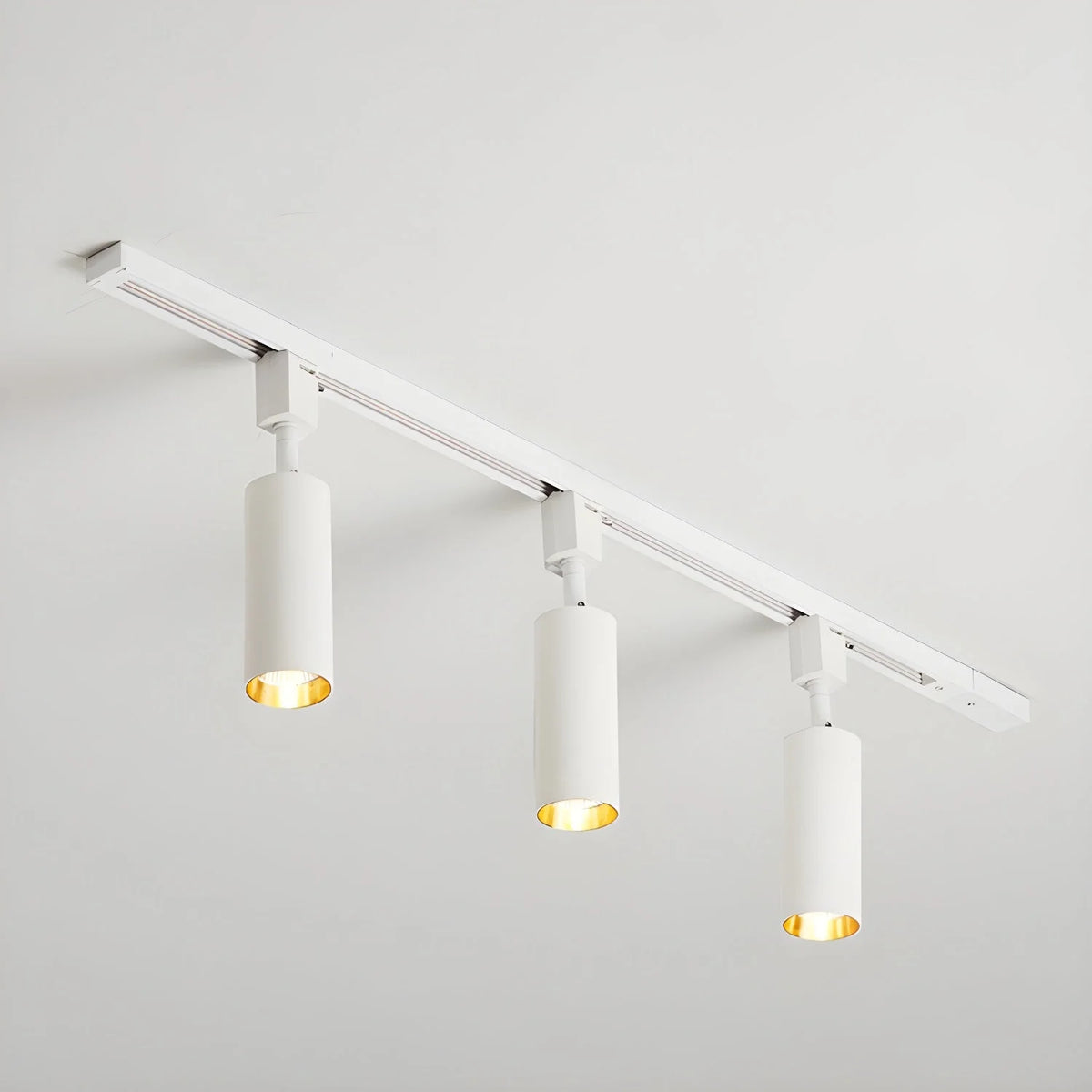 Cylinder Track Light 30° Focused Beam Integrated LED