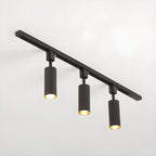 Cylinder Track Light 30° Focused Beam Integrated LED