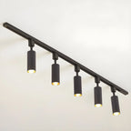 Cylinder Track Light 30° Focused Beam Integrated LED