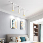 Cylinder Track Light 30° Focused Beam Integrated LED