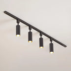 Cylinder Track Light 30° Focused Beam Integrated LED